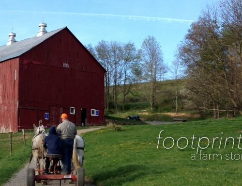 Footprints | A Farm Story | WV Videographer